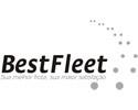 Best Fleet