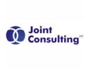 Joint Consulting