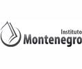 Instituto Montenegro