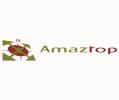 Amaztop - Equipamentos Topograficos